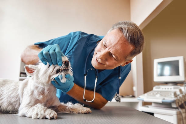 Best Urgent Dental Care  in Fernandina Beach, FL